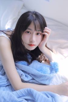 限制片